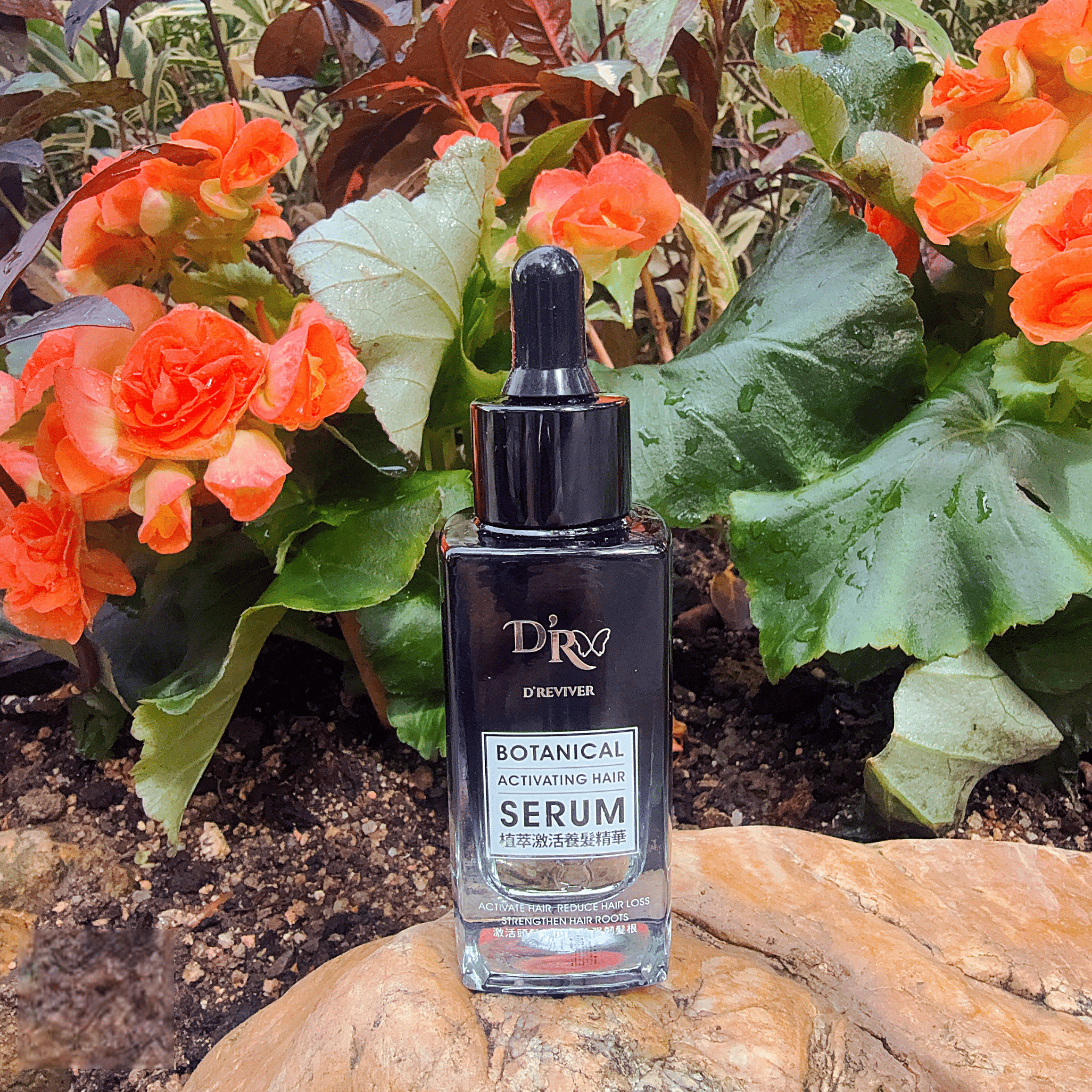 優悅套裝: BOTANICAL ACTIVATING HAIR SERUM植萃激活養髮精華6支(80% 客戶的首選/香港免運優惠) 1 植萃激活養髮精華